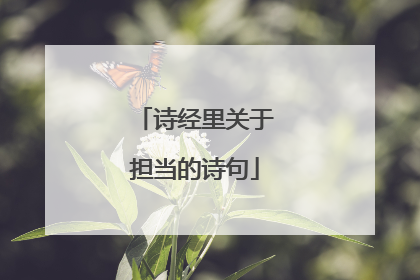诗经里关于担当的诗句