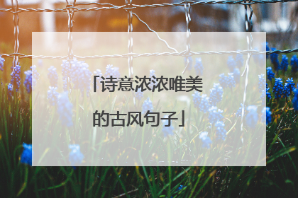 诗意浓浓唯美的古风句子
