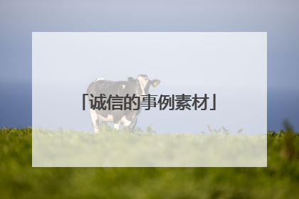 诚信的事例素材