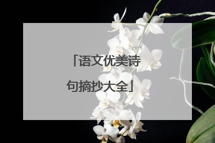 语文优美诗句摘抄大全