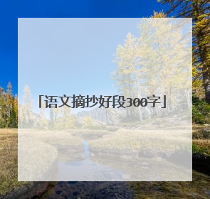 语文摘抄好段300字
