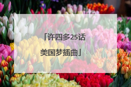 许四多25话美国梦插曲