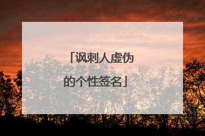 讽刺人虚伪的个性签名
