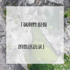 讽刺性很强的鲁迅语录