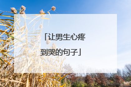 让男生心疼到哭的句子