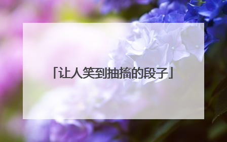 让人笑到抽搐的段子