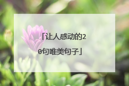 让人感动的20句唯美句子