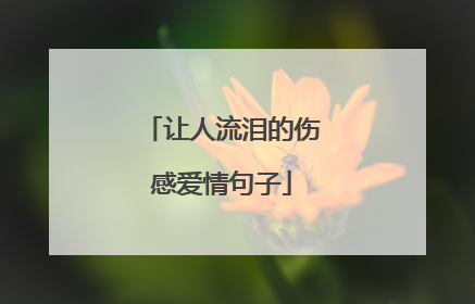 让人流泪的伤感爱情句子