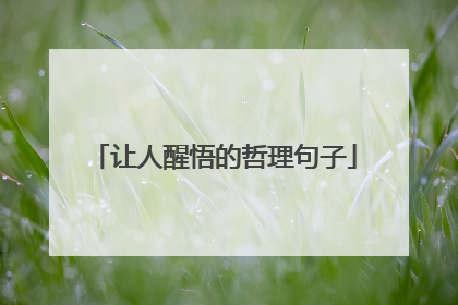 让人醒悟的哲理句子