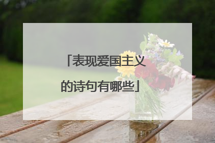 表现爱国主义的诗句有哪些