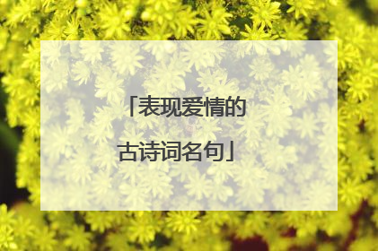 表现爱情的古诗词名句