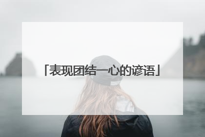 表现团结一心的谚语