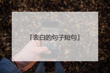 表白的句子短句