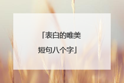 表白的唯美短句八个字