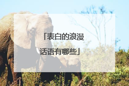 表白的浪漫话语有哪些