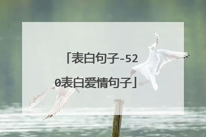 表白句子-520表白爱情句子