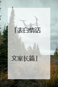 表白情话文案长篇