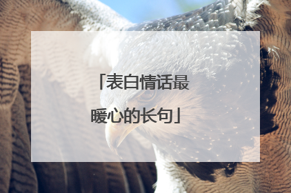 表白情话最暖心的长句