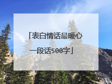 表白情话最暖心一段话500字