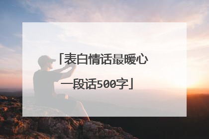 表白情话最暖心一段话500字