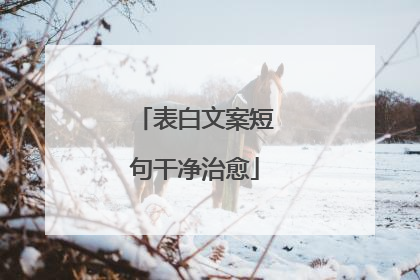 表白文案短句干净治愈