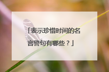 表示珍惜时间的名言警句有哪些?
