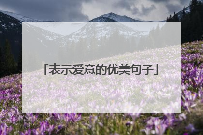 表示爱意的优美句子