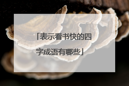 表示看书快的四字成语有哪些