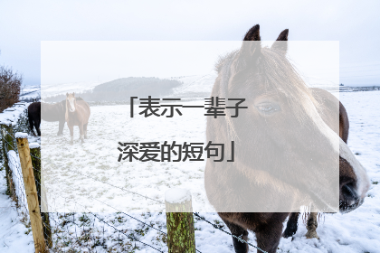表示一辈子深爱的短句