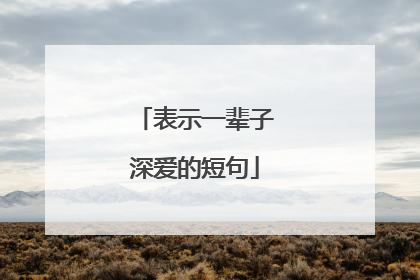 表示一辈子深爱的短句