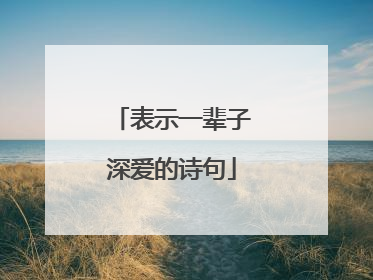 表示一辈子深爱的诗句