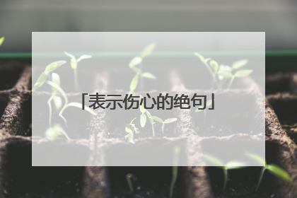 表示伤心的绝句