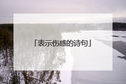 表示伤感的诗句