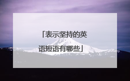 表示坚持的英语短语有哪些