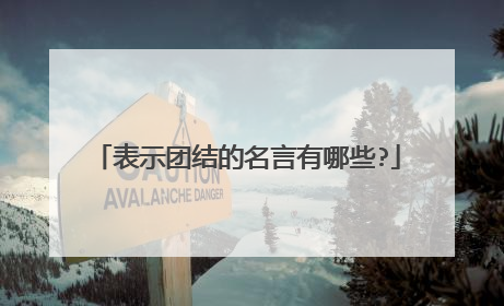 表示团结的名言有哪些?