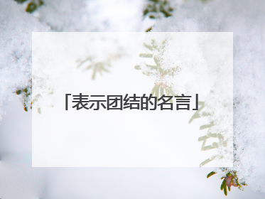 表示团结的名言