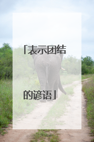 表示团结的谚语