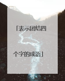 表示团结四个字的成语