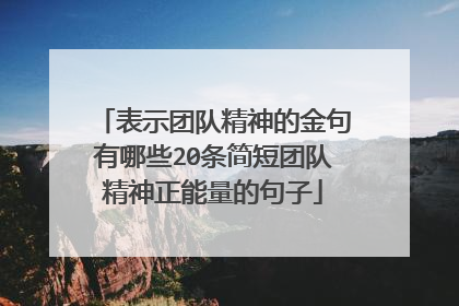 表示团队精神的金句有哪些20条简短团队精神正能量的句子