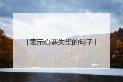 表示心寒失望的句子