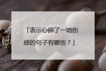 表示心碎了一地伤感的句子有哪些？