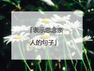 表示思念亲人的句子