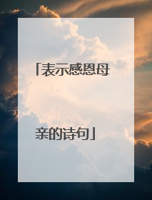 表示感恩母亲的诗句