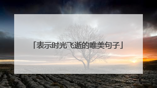表示时光飞逝的唯美句子
