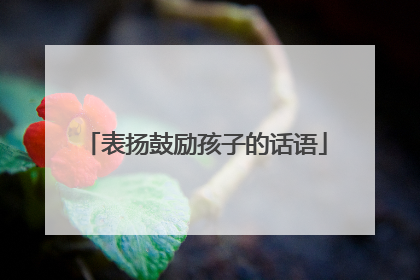 表扬鼓励孩子的话语