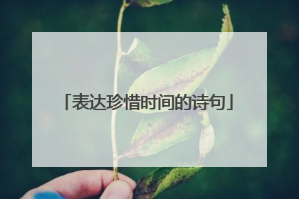 表达珍惜时间的诗句