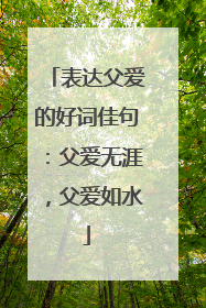 表达父爱的好词佳句:父爱无涯,父爱如水