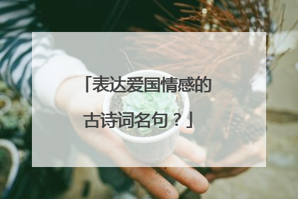 表达爱国情感的古诗词名句?