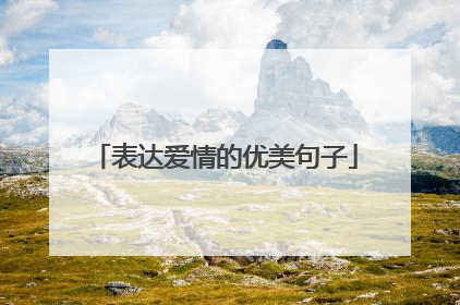 表达爱情的优美句子