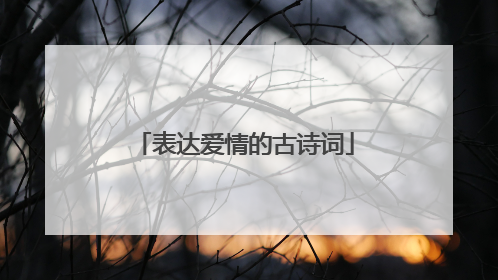 表达爱情的古诗词
